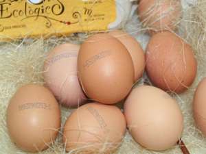 Ous ecol�gics  mitjans, 6u