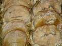 Vedella rostida amb moixernons