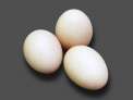 Ous XL  de gallina     6u