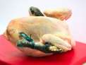 Pollastre Ecol�gic del Pened�s 