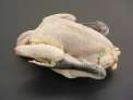 Pollastre del Pened�s 