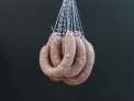 Botifarra de gall dindi amb all i julivert