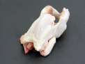 Picant�