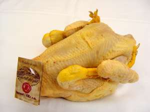 Pollo de pay�s 