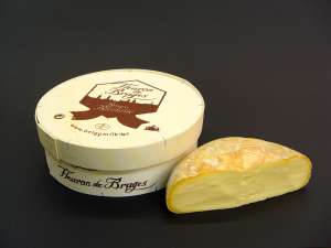 Fleuron de Bruges