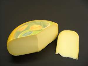 Gouda