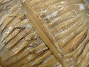 Anchoa Rossell 