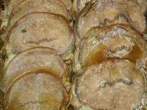 Ternera asada con senderuelas