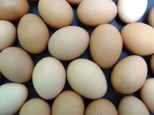 Huevos L  de granja   6u.