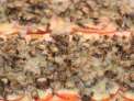 Coca de chgampi�ones, tomate  y brie
