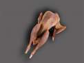 Fais�n macho sin pluma