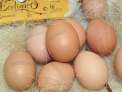 Huevos ecol�gicos medianos ,6u